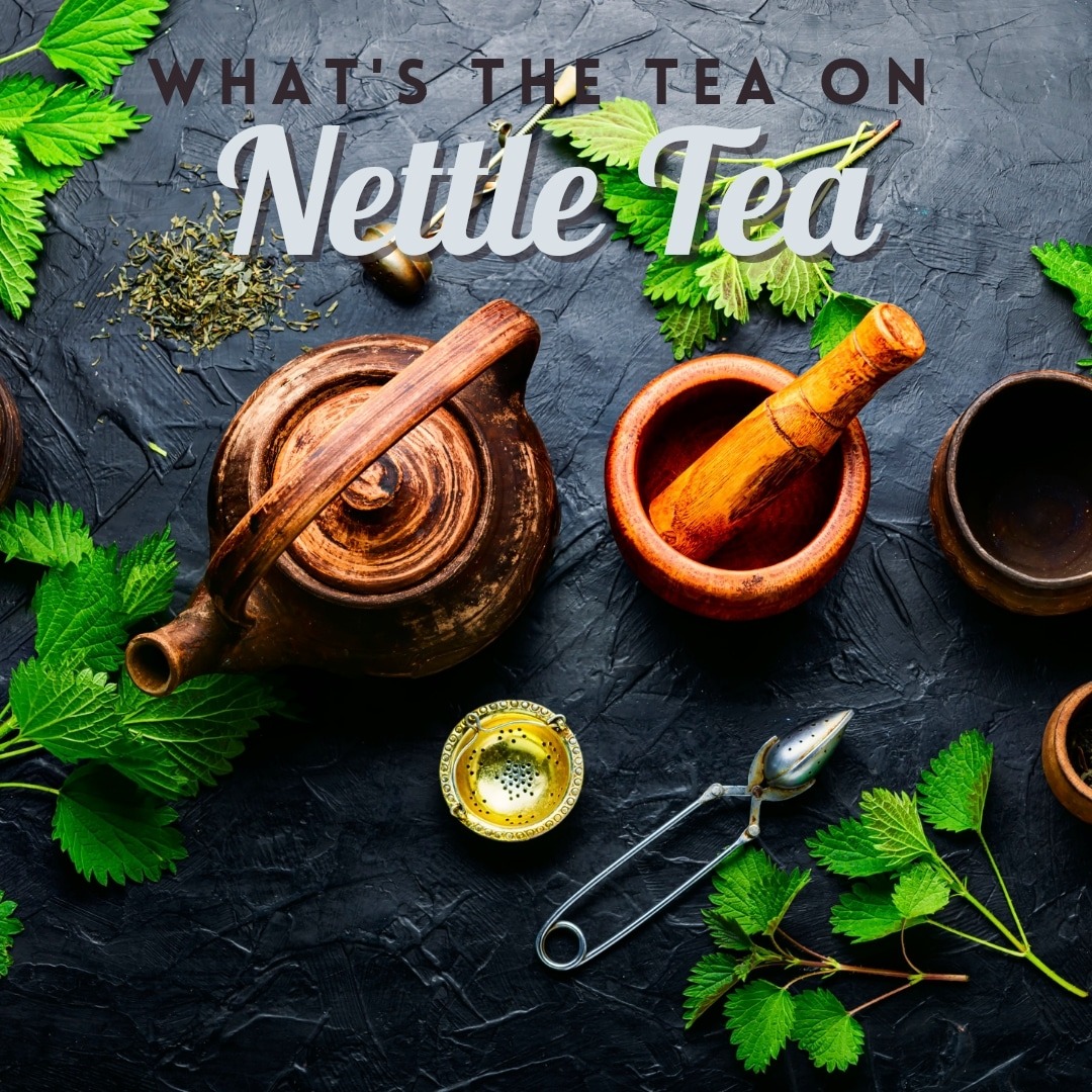 What's The Tea On Nettle Tea?