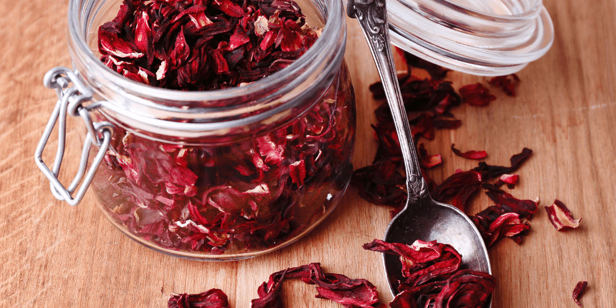 Hibiscus