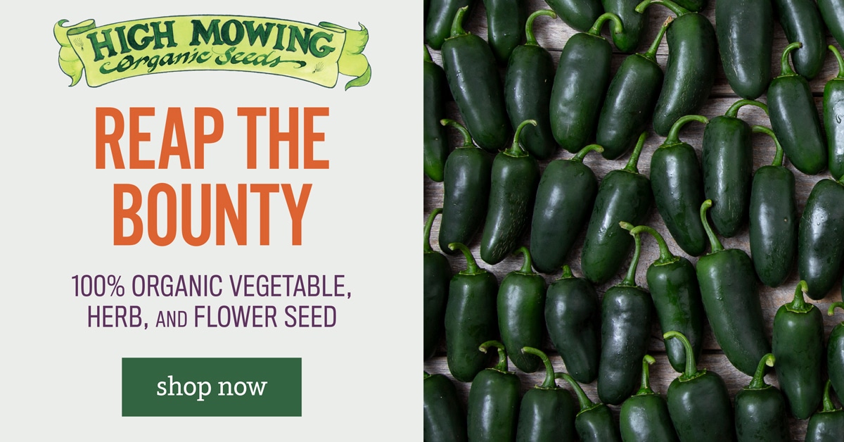 Organic Seeds - Herbalistic Wellness - https://shareasale.com/r.cfm?b=1922413&u=3628367&m=115344&urllink=&afftrack=