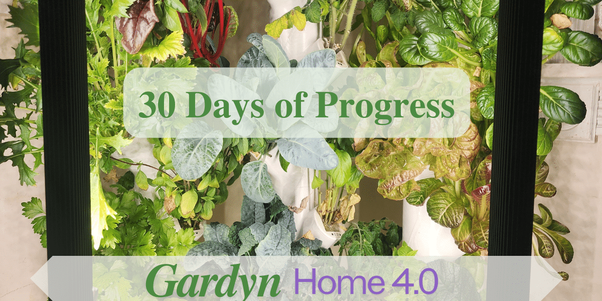 30 Days of Progress with the Gardyn Home 4.0